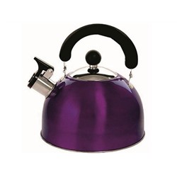 Чайник со свистком 2,5л фиолет, нжс