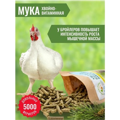 Мука витаминная, хвойная, 0,5 кг