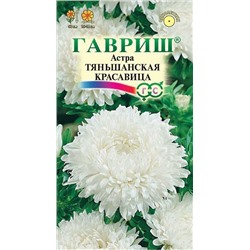 Астра Тяньшанская красавица (Код: 89769)