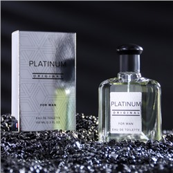 Туалетная вода мужская Platinum Original, 100 мл (по мотивам Egoiste Platinum (Chanel)