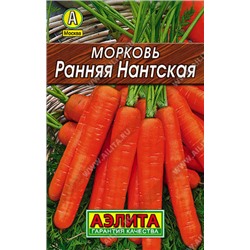 0100 Морковь Ранняя Нантская 2 г