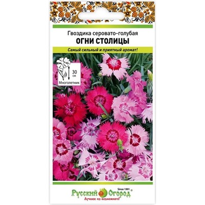 Гвоздика Огни Столицы (Код: 91597)