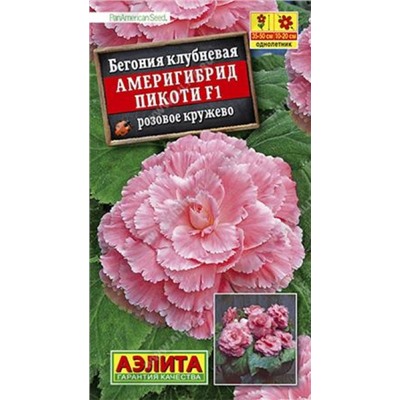 Бегония Америгибрид Пикоти Розовое кружево F1 (Код: 86001)