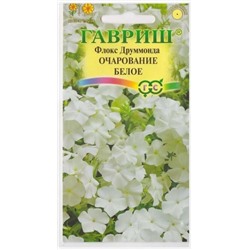 Флокс Очарование белое (Код: 69159)