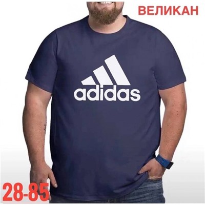 Футболка мужская R126919