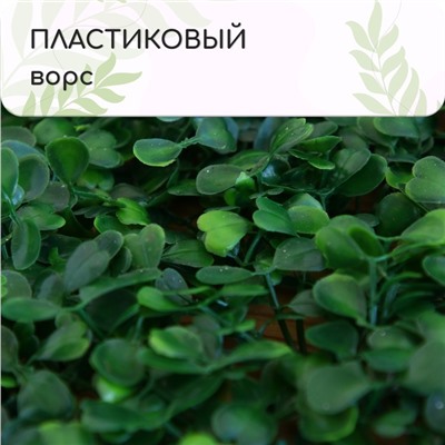 Декоративная панель, 25 × 25 см, «Мокрица», Greengo