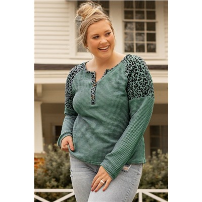 Mist Green Leopard Patchwork Textured Knit Plus Size Henley Top