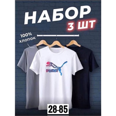 Футболка мужская 3 шт R145176