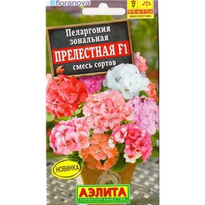 Пеларгония Прелестная F1 смесь (Код: 87678)