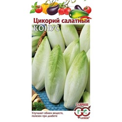 Цикорий Салатный(Витлуф)Конус Гавр.