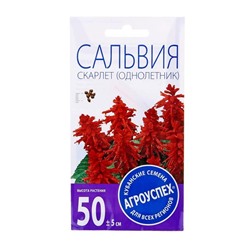 Семена цветов Сальвия Скарлет, О, 0,1г