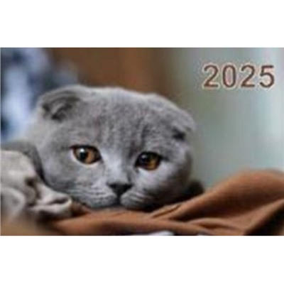 Календарь квартальный 2025 г. 3 спирали 310х680 мм "Милый котенок" КБ09-25 Атберг