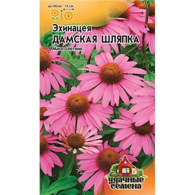 Эхинацея Дамская шляпка (Код: 86204)