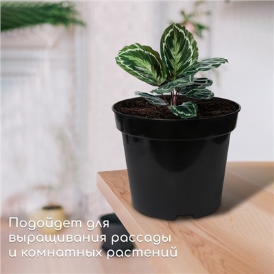 Горшок для рассады, 10 л, d = 29 см, h = 22,5 см, чёрный, Greengo