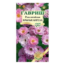 Роза Китайская  Крылья Ангелов (Код: 13931)