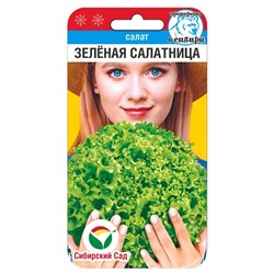 Салат Зеленая салатница (Код: 92082)