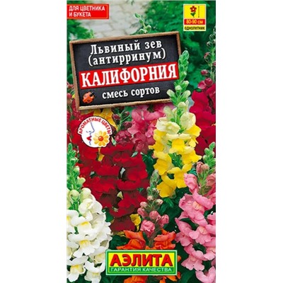 Львиный зев Калифорния Аэлита