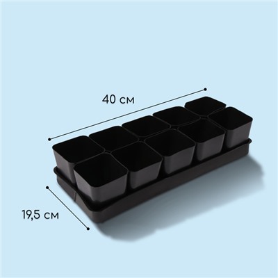 Набор для рассады: стаканы по 500 мл (10 шт.), поддон 40 × 19,5 см, МИКС, Greengo