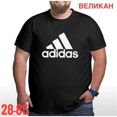 Футболка мужская R126918