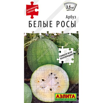 0298 Арбуз Белые росы 5 шт