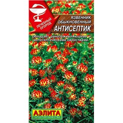 1129 Язвенник Антисептик 0,2 г