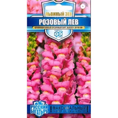 Львиный зев Розовый лев (Код: 84689)