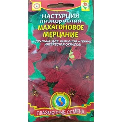 Настурция Махагоновое мерцание (Код: 91217)