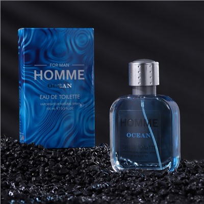 Туалетная вода мужская Homme Ocean, 100 мл (по мотивам Acqua Di Gio (G.Armani)