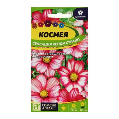 Семена цветов Космея "Сенсация" Кенди Страйп, О, цп, 0,5 г