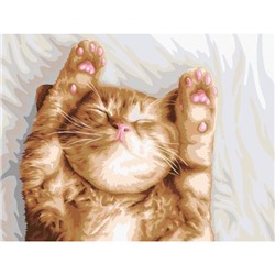 Картина по номерам 30х40 см "Сладкий сон котика" живопись с красками и кистью PNB/PM-243 ФРЕЯ