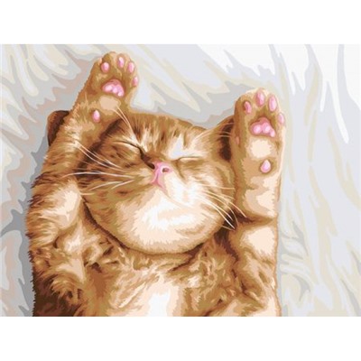 Картина по номерам 30х40 см "Сладкий сон котика" живопись с красками и кистью PNB/PM-243 ФРЕЯ