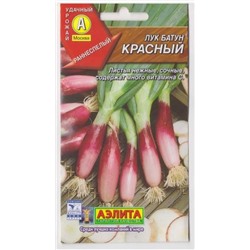 Лук Батун Красный  (Код: 6528)