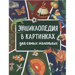 Уценка. Энциклопедия в картинках для самых маленьких