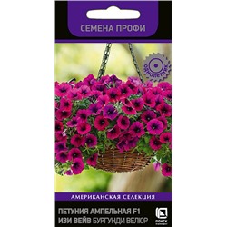 Петуния Изи Вейв Бургунди Велюр F1 (Код: 78061)