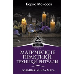 Магические практики, техники, ритуалы. Большая книга мага