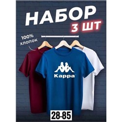 Футболка мужская 3 шт R145227