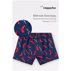 Трусы Happyfox HF0046SP детские