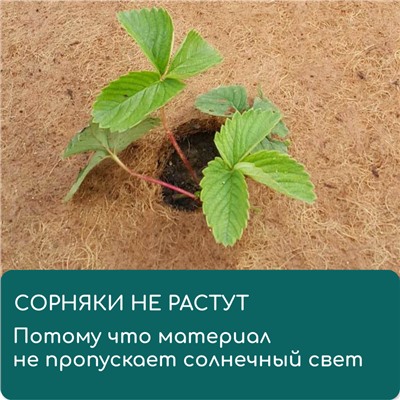 Круг приствольный, d = 0,25 м, из кокосового полотна, Greengo