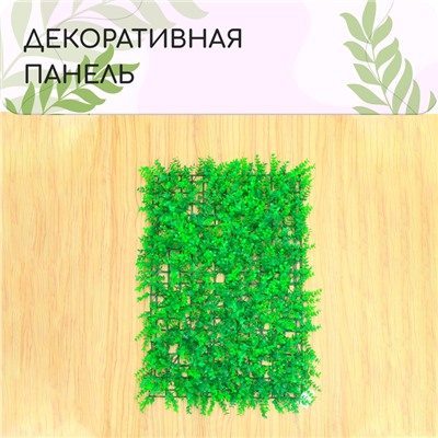 Декоративная панель, 60 × 40 см, «Самшит», Greengo