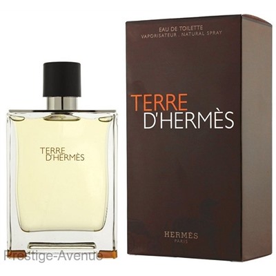 Hermes - Туалетная вода Terre d'Hermes 100 мл