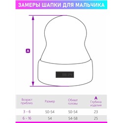 Шапка утепленная для мальчика NIKASTYLE 11з11923 голубой