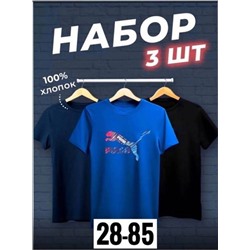 Футболка мужская 3 шт R145170