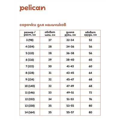 BWCT7119 (Сорочка для мальчика, Pelican )