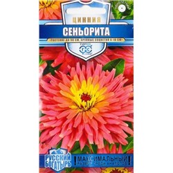 Цинния Сеньорита Русский богатырь (Код: 82733)