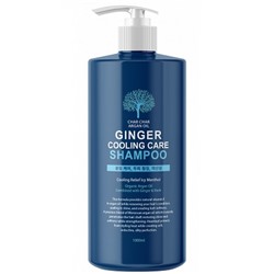 Char Char Шампунь для волос укрепление-охлаждение Argan Oil Ginger Cooling Care Evas 1000 мл