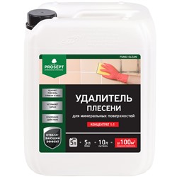 Удалитель плесени Prosept Fungi Clean, концентрат 1:1, 5 л