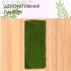 Декоративная панель, 90 × 40 см, «Папоротник», Greengo