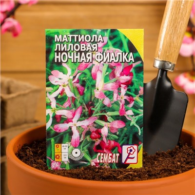 Семена цветов Маттиола Лиловая (ночая фиалка), 0,5 г