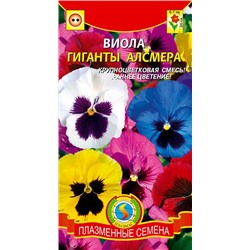 Виола Гиганты Алсмера (Код: 91089)