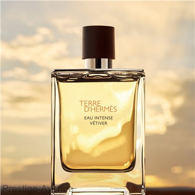 Hermès Terre D Hermes Eau Intense Vetiver for men 100 ml A-Plus